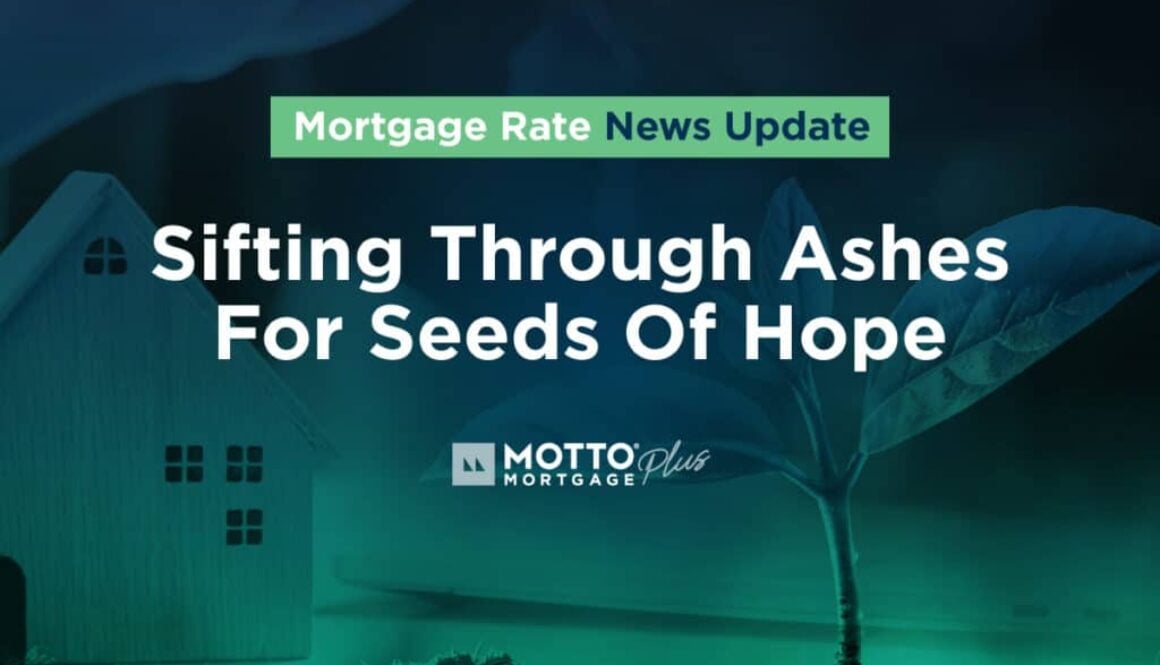 Sifting Through Ashes For Seeds Of Hope