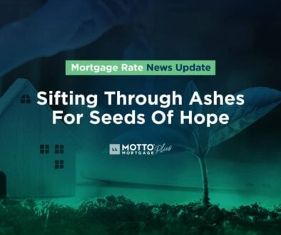 Sifting Through Ashes For Seeds Of Hope